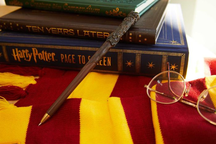 Harry Potter: Harry’s Wand Pen
