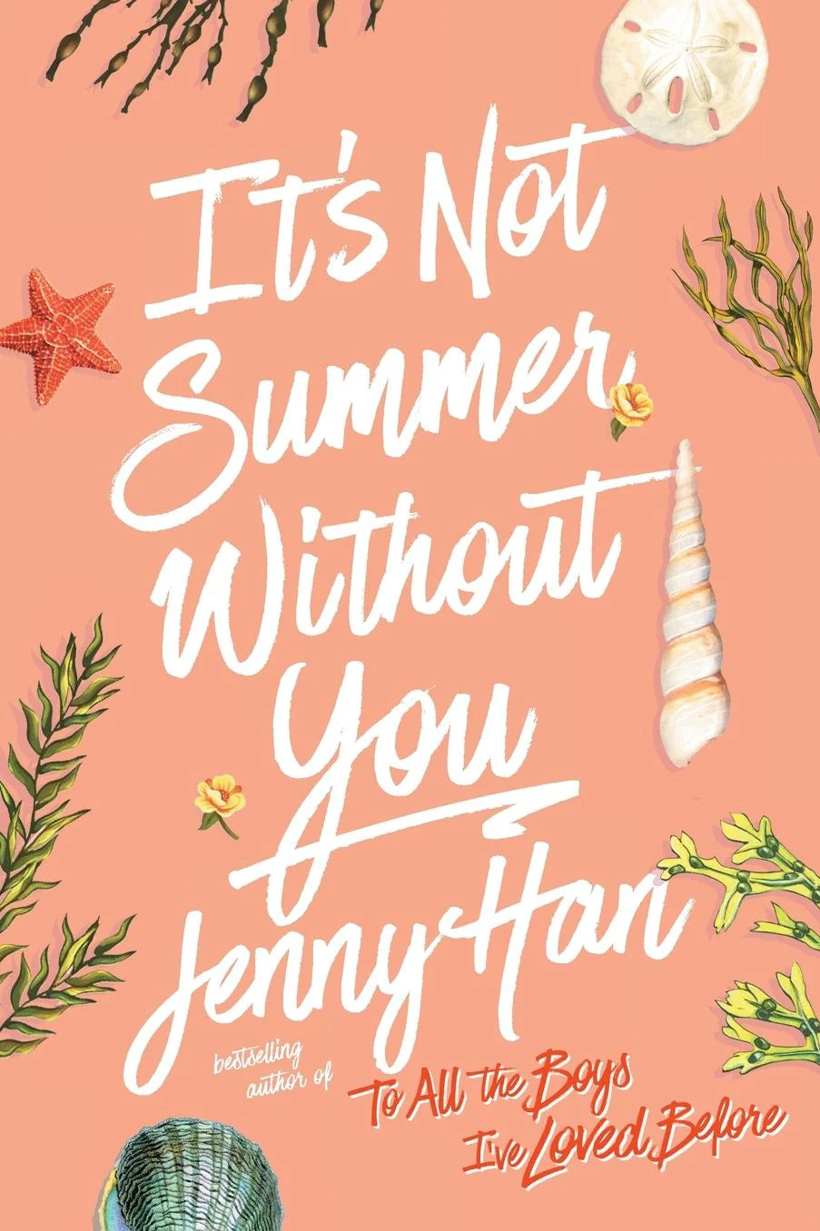 It's Not Summer Without You (Summer I Turned Pretty Series #2)