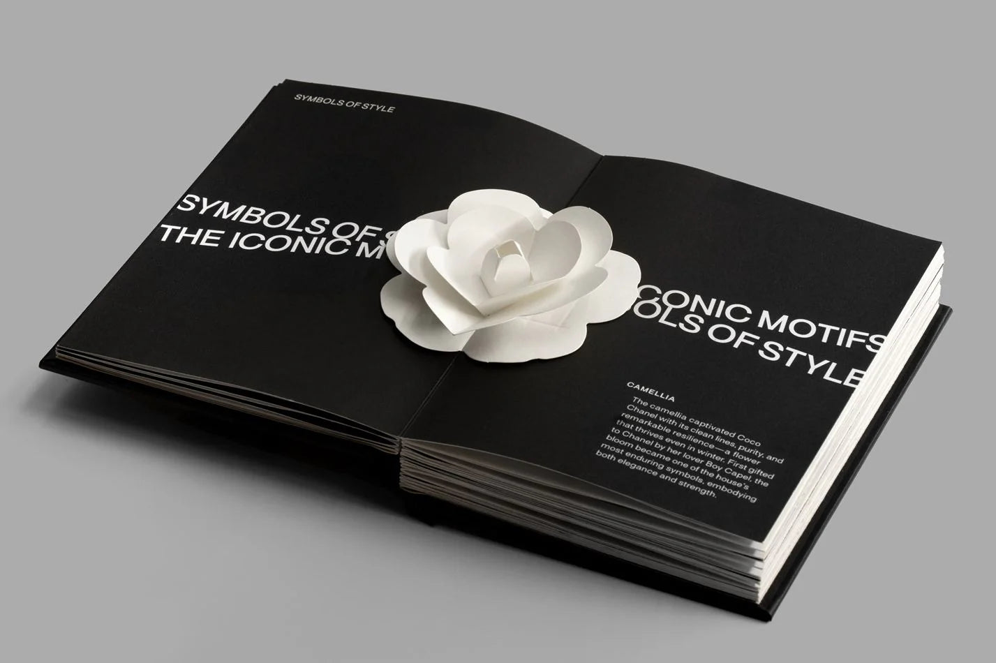 Pop-Up Chanel