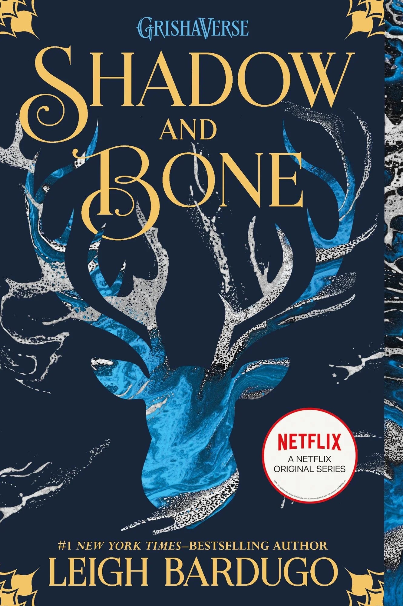 Shadow and Bone (Shadow and Bone Trilogy, #1)