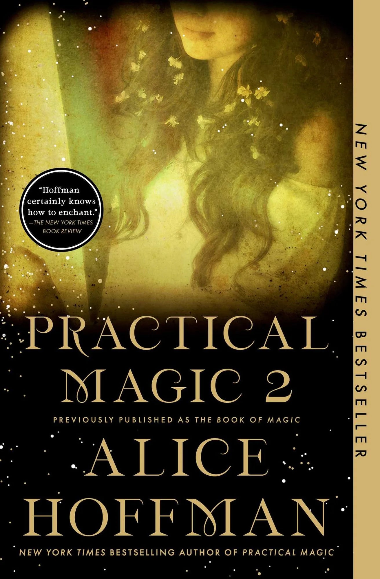 The Book of Magic: Practical Magic 2 (Practical Magic Book 4)